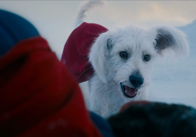 The Long History Behind Krypto the Superdog