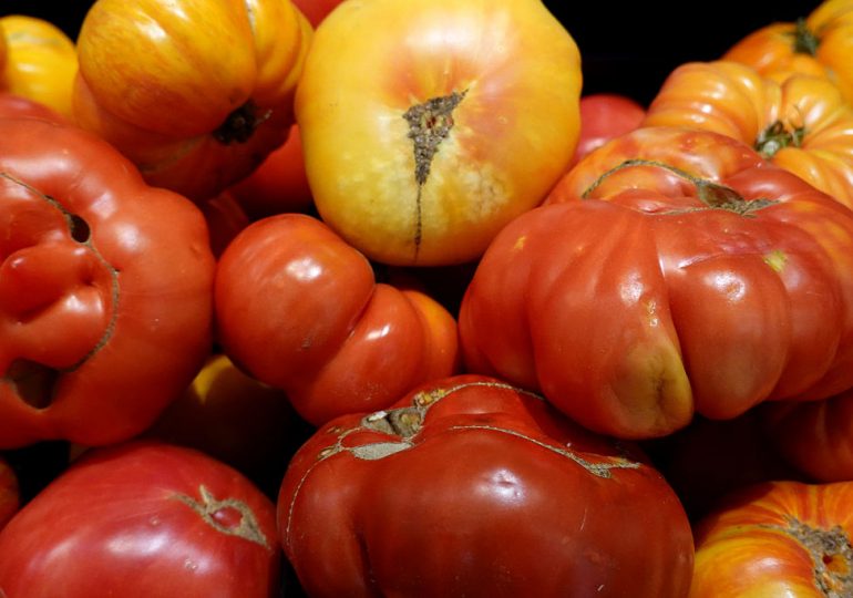 Why Tomatoes Are Becoming a Lot More Expensive