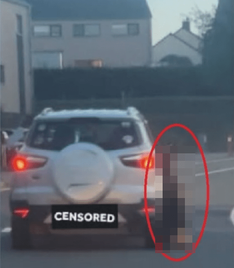 Horror moment German Shepherd is dragged behind car to her death – before vigilantes set fire to owner’s house