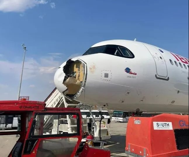 Spain holiday plane left with SMASHED nose & forced to make emergency landing after crashing into bird in midair horror