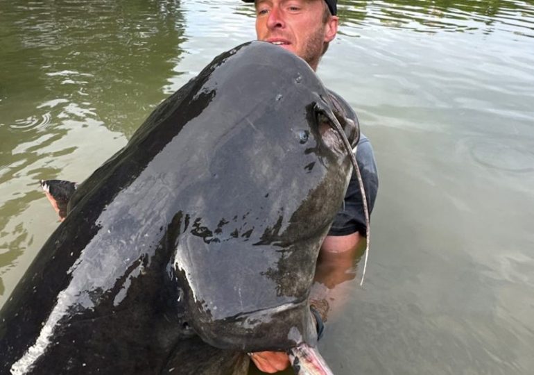 Angler reels MONSTER 9ft catfish from Czech river in epic 50-minute battle