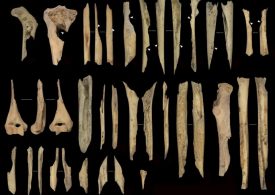 Cannibals ‘cooked & ate’ humans 6,000-years-ago in bizarre rituals as human bones found riddled with bite marks