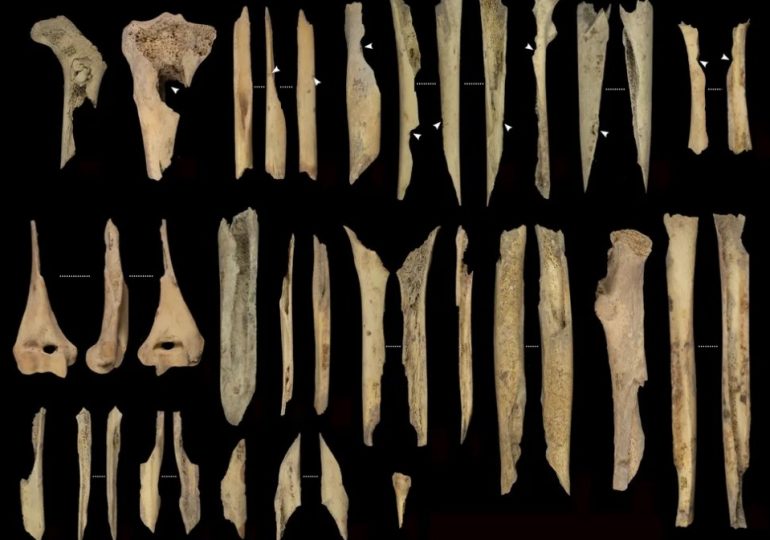 Cannibals ‘cooked & ate’ humans 6,000-years-ago in bizarre rituals as human bones found riddled with bite marks