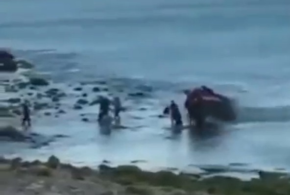 Migrants land on Algarve beach… and are immediately detained & ordered to be deported in WEEKS in stark contrast to UK