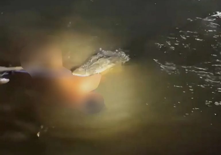 Terrifying moment dad-of-four is dragged away and killed by crocodile in front of screaming family as they swam in river