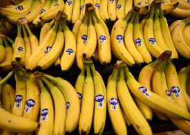 Climate Change is Coming for Your Bananas