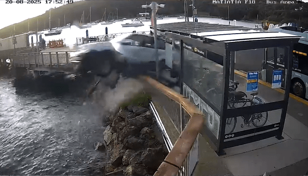 Terrifying moment drunk OAP drives off wharf into sea sparking frantic rescue before car is swallowed up by the waves