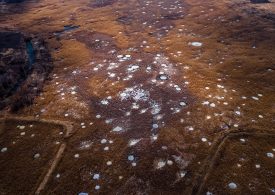 Russia Makes Sudden Battlefield Advance in Ukraine Ahead of Trump-Putin Summit