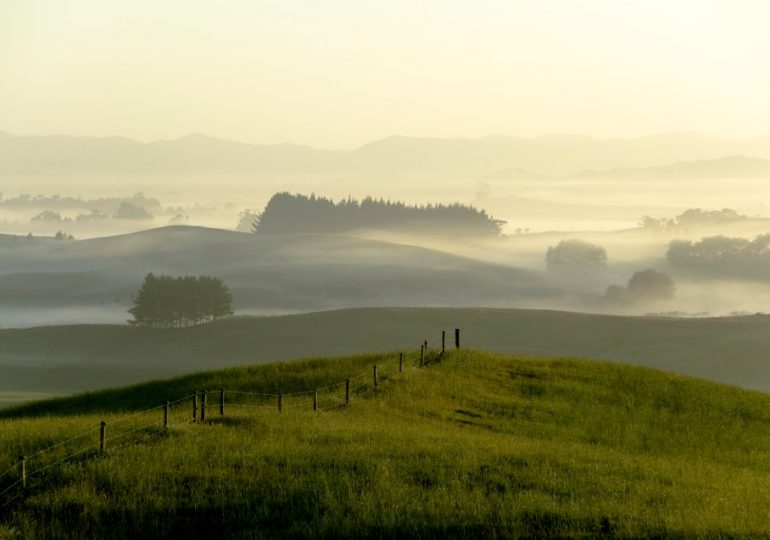 Farmer ‘raped wife, daughter and his cows & forced partner to watch him perform sexual acts on calves’