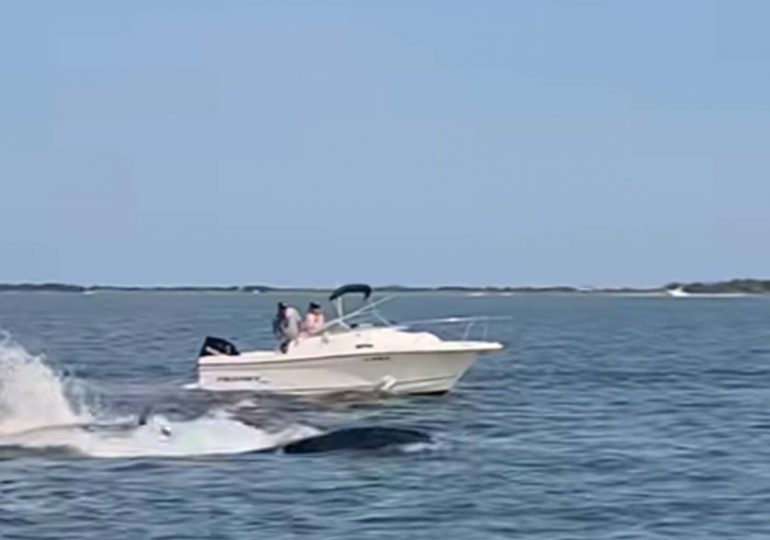 Terrifying moment thrashing 20ft whale bashes boat throwing woman into the churning sea