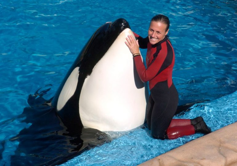 My sister was SeaWorld trainer killed by orca Tilikum, it’s a day that will haunt me forever