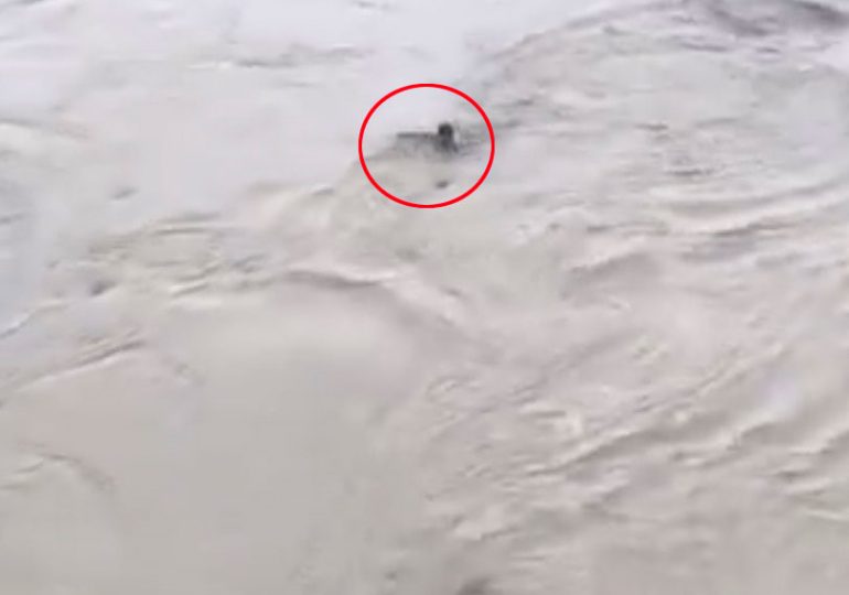 Horror moment social media daredevil leaps into raging river for a £4 bet – before he’s swept away and vanishes