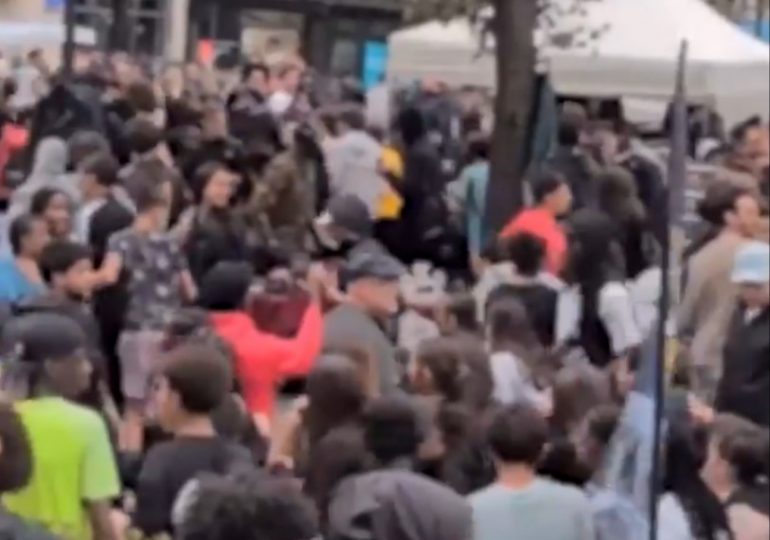 Fried chicken giveaway sparks CHAOS in Paris as riot cops fire tear gas at 3,000-strong crowd