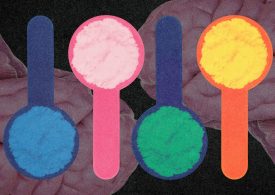 Can Creatine Keep Your Brain Sharp?