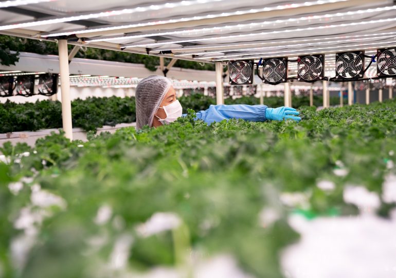 TIME Is Looking For the World’s Top GreenTech Companies of 2026