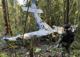 I crawled through jungle with baby siblings for weeks after crash – here’s how we survived despite predators stalking us