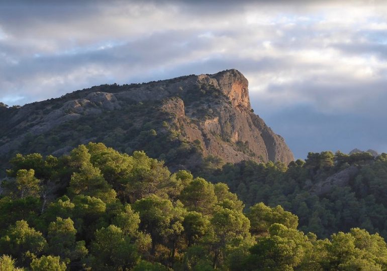 Body found in woods during hunt for missing Brit who disappeared from resort at Spanish holiday hotspot