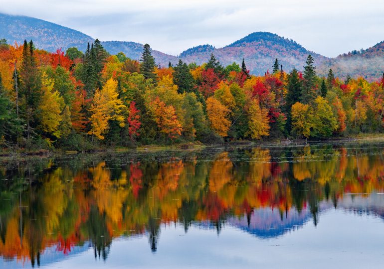 How Is Climate Change Impacting Fall Foliage?