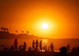 The Growing Significance of Climate Lawsuits