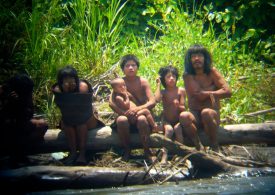 World’s largest uncontacted tribe deep in the Amazon that KILLS outsiders with bows and arrows now faces extinction