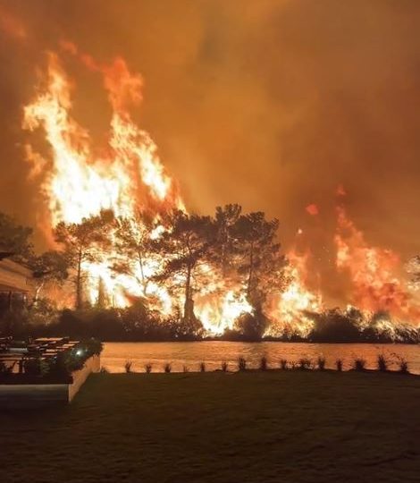 Horror moment flames engulf Turkey holiday hotspot as tourists evacuated from hotels & 800 firefighters battling blaze