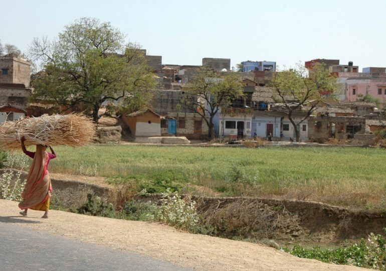 Baby boy dies after being snatched and dumped in water barrel by ‘aggressive’ gang of monkeys