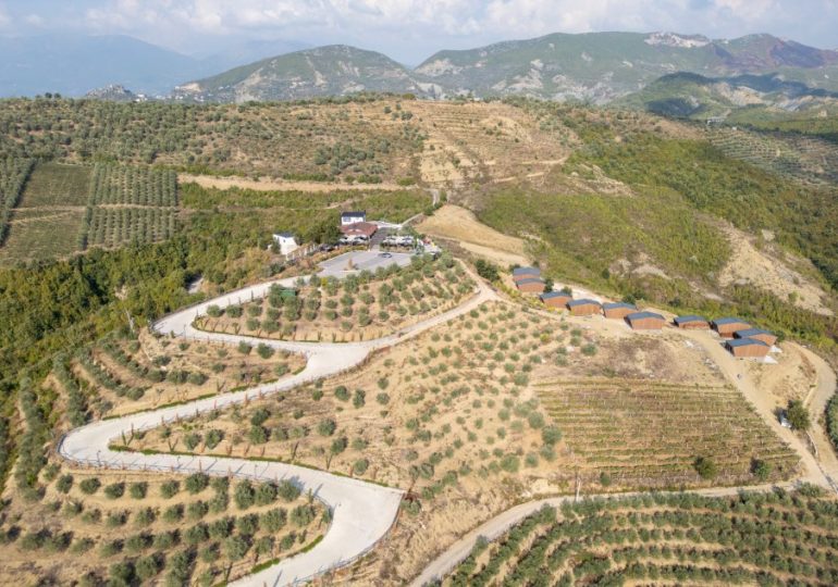 How two Albanian drug lords built multi-million pound empire back home from Tottenham… leaving trail of murder & misery