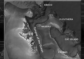 Aliens may be hiding out in ‘five or six’ underwater UFO bases off US coast, claims Congressman
