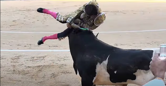 Shocking moment matador is gored through the leg and thrown into air leaving him with horror 30cm deep wound
