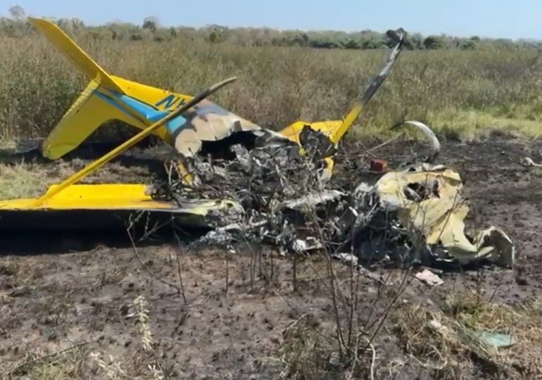 Plane crash kills 4 including famous architect & filmmakers after light aircraft smashes into ground during landing
