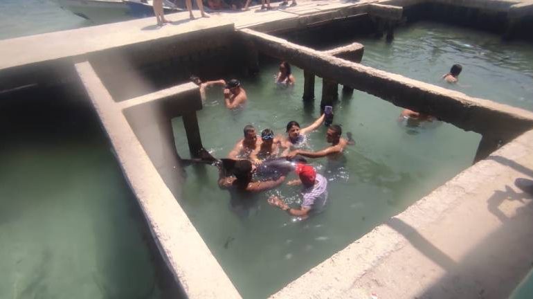 Boy, 14, nearly loses his hand in brutal shark attack at notorious backstreet aquarium where tourists SWIM with beasts