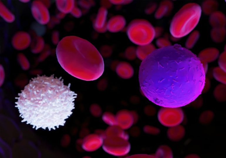 Colossal Biosciences Non-Invasive Blood Cloning