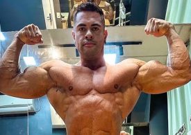 Bodybuilding influencer Ricardo Nolasco dos Santos, 31, died from a stroke after his beloved cat passed away, mum claims
