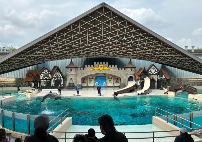 Marine park threatens to KILL 30 beluga whales unless it gets emergency cash ASAP – and the deadline has now passed