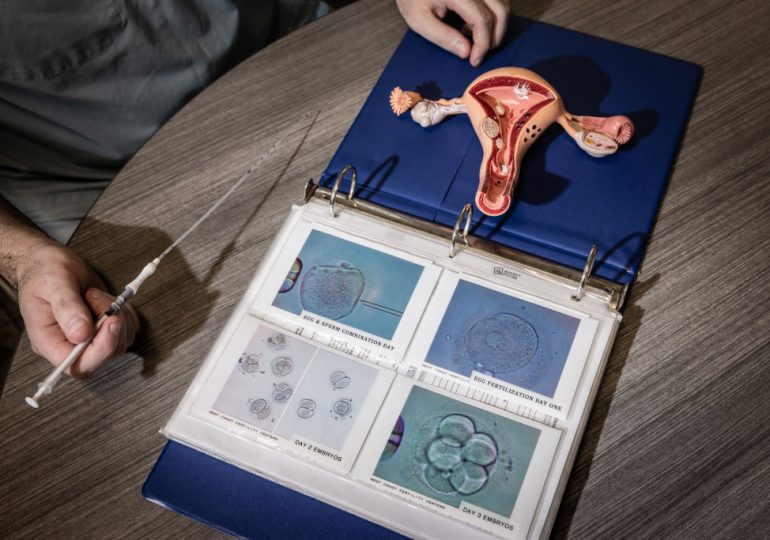 Trump’s IVF Plan Won’t Deliver