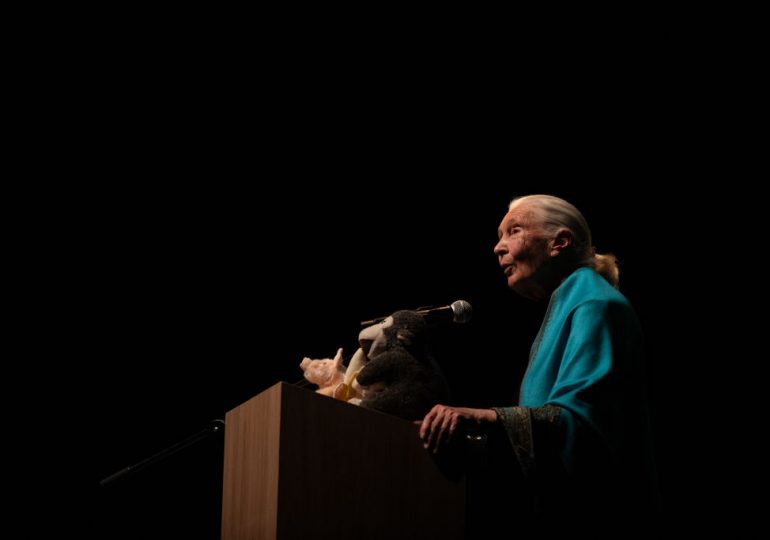 Jane Goodall’s Memory Lives On