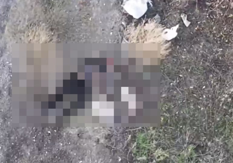 Horror as Putin’s kamikaze drones blow up elderly civilians waving white flags & walking dog in latest brazen war crime