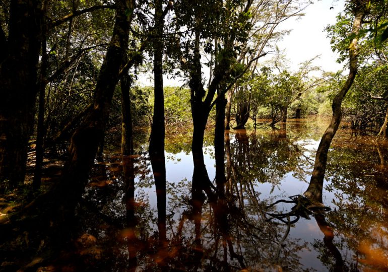 Ecuador’s Constitution Was the First to Protect the Rights of Nature. Now That’s at Risk