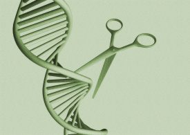 Can a One-Time Gene Therapy Lower Cholesterol?