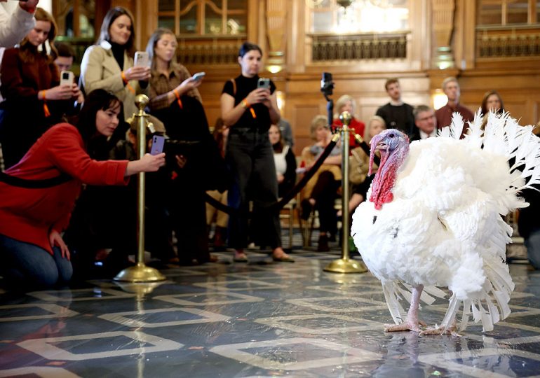 The Unusual History of the Annual White House Turkey Pardon