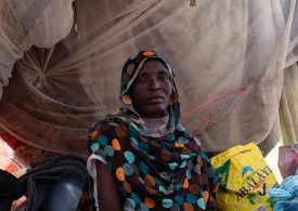 What the Crisis in Sudan Means for the World