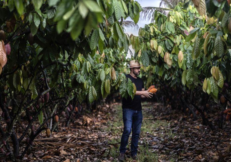 What Brazil’s Farmers Can Teach the World About Climate Action
