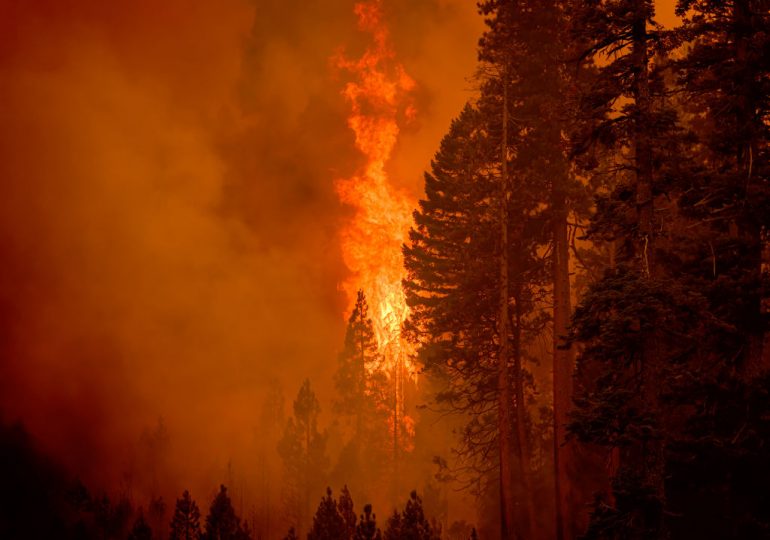 The World Is Failing Its 2025 Paris Agreement Target. Now What?