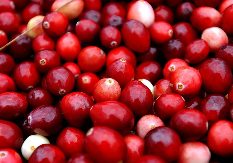 What Climate Change Means For Your Thanksgiving Dinner