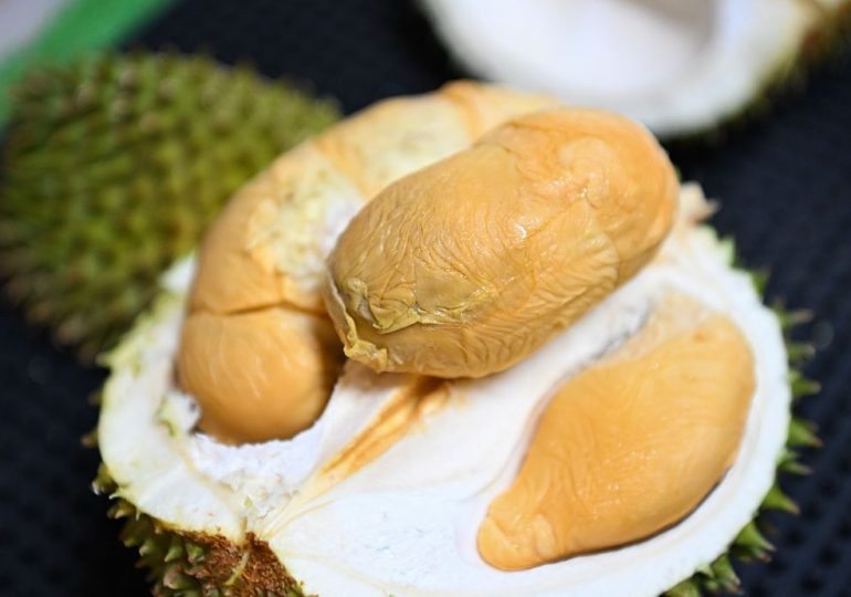 Why Southeast Asia Fights Over Food—but Shouldn’t, According to Experts