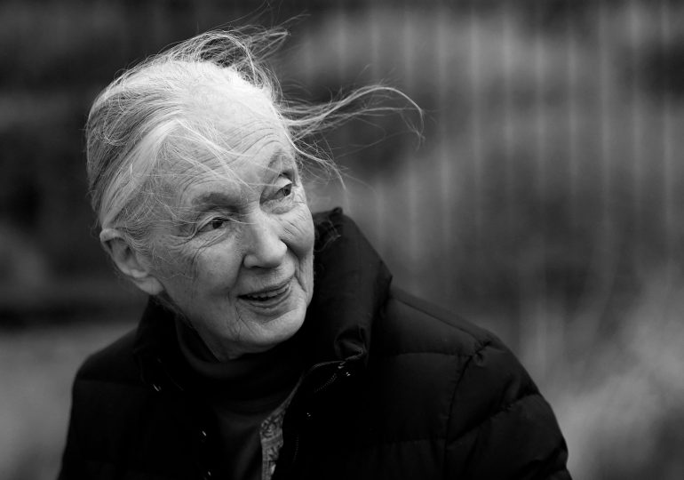Jane Goodall Honored at Her Funeral as a Visionary Scientist and a Voice of Hope for the Planet