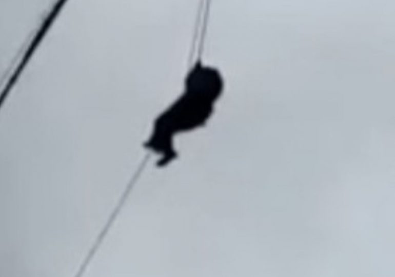 Terrifying moment family is forced to scale down 150ft crane after getting trapped at ‘sky-dining’ restaurant for hours