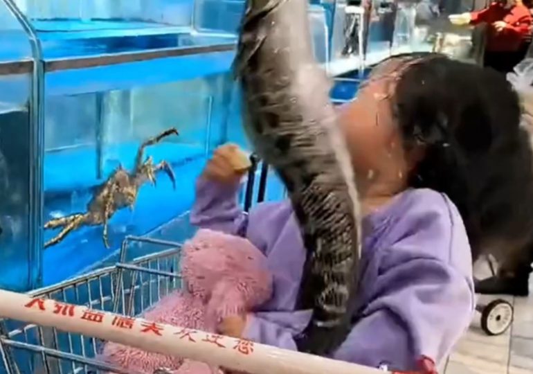 Shocking moment supermarket fish leaps out of tank and SLAPS little girl in the face