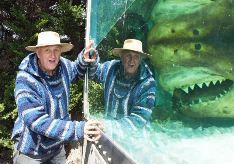 How 16ft great white shark ‘Rosie’ was left to rot in tank of formaldehyde as owner lifts lid on dead ‘pet’ in backyard