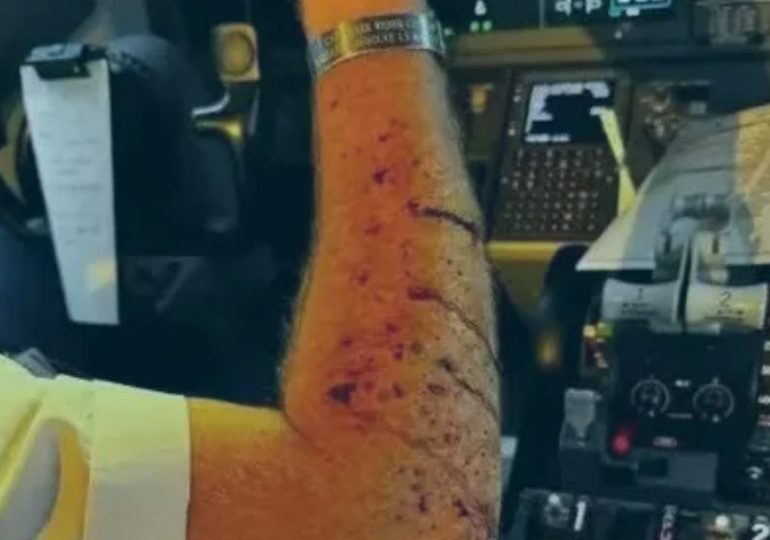 Mystery object that smashed into Boeing 737 cockpit finally identified after showering pilots with glass at 36,000ft